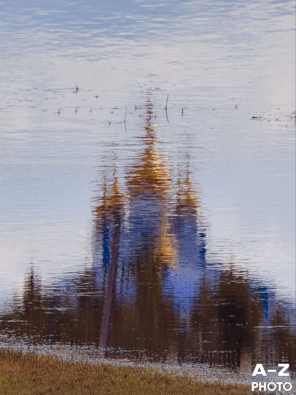 #ФОТОНЕДЕЛИ 13.04.2026. Женский семейный фотограф Тула Москва Захарова Анна