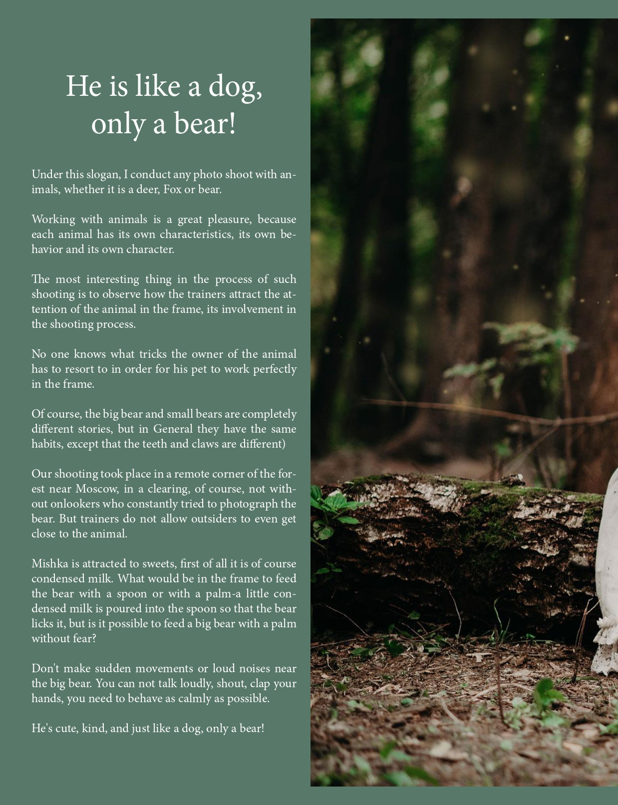 Журналы. Свадебный и семейный фотограф Максим Сорокин