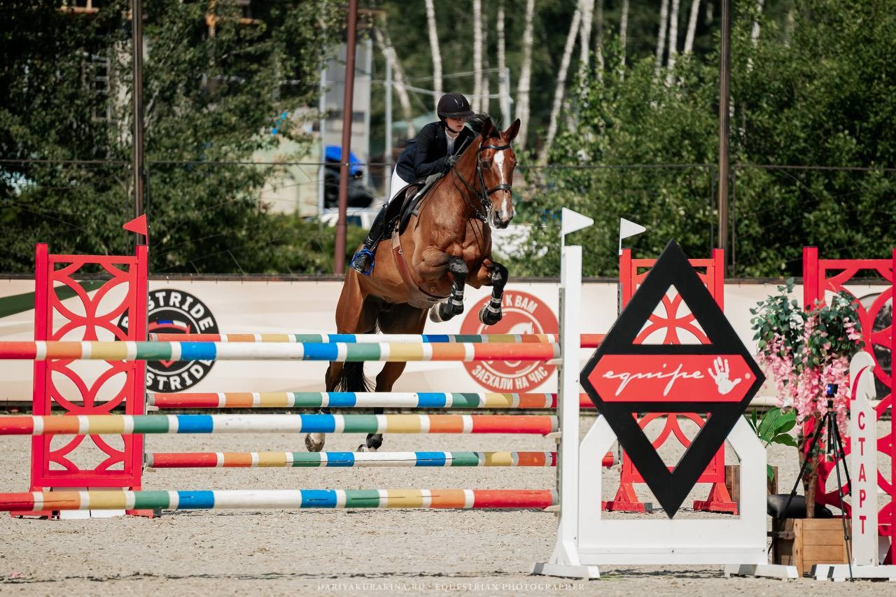 Муниципальные соревнования по конкуру КСК «Виват, Россия!». Куракина Дарья • Конный фотограф