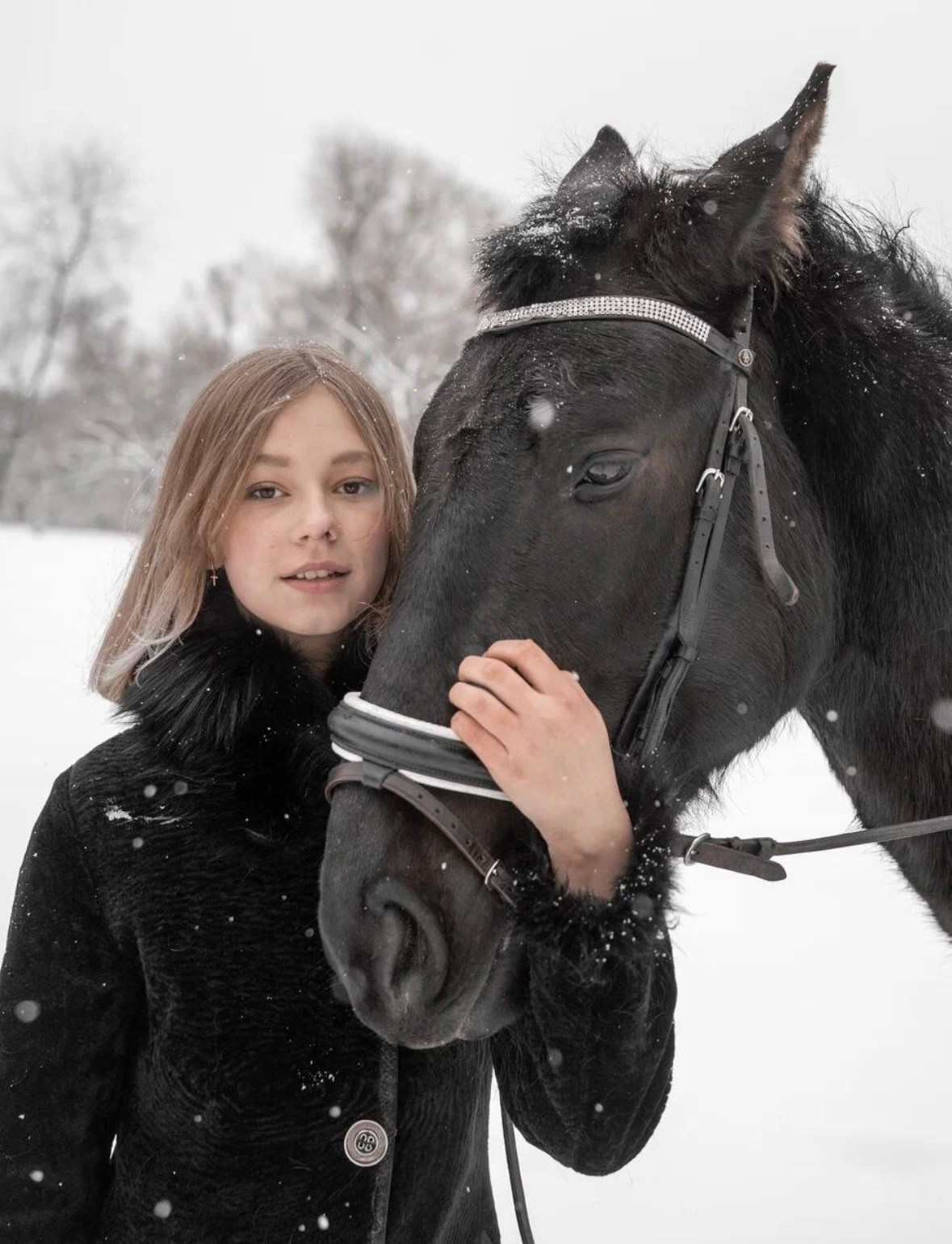 Лошадки зима. Фотограф Зинаида Евдокимова