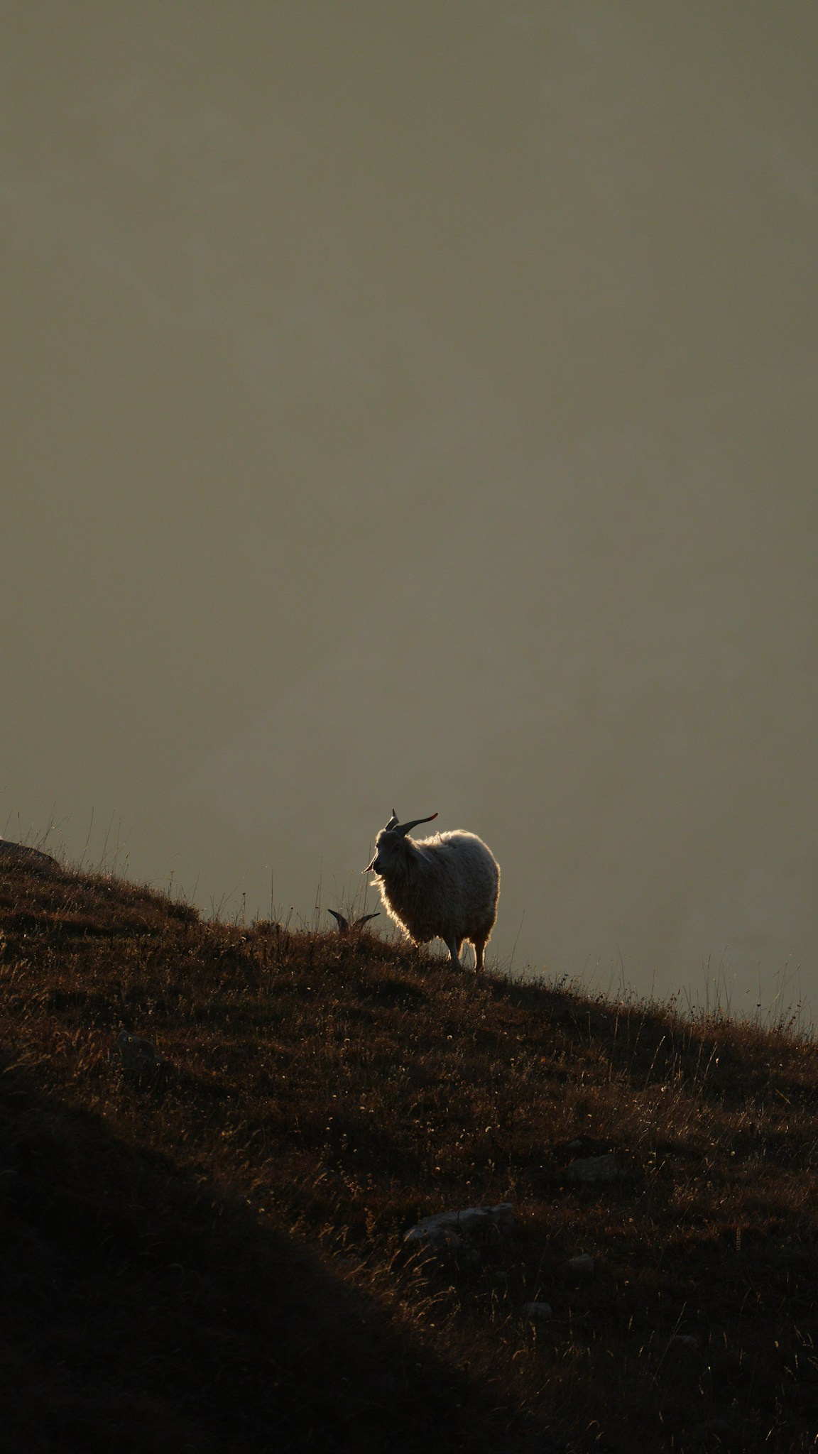 Дагестан 2023. Человек с фотокамерой