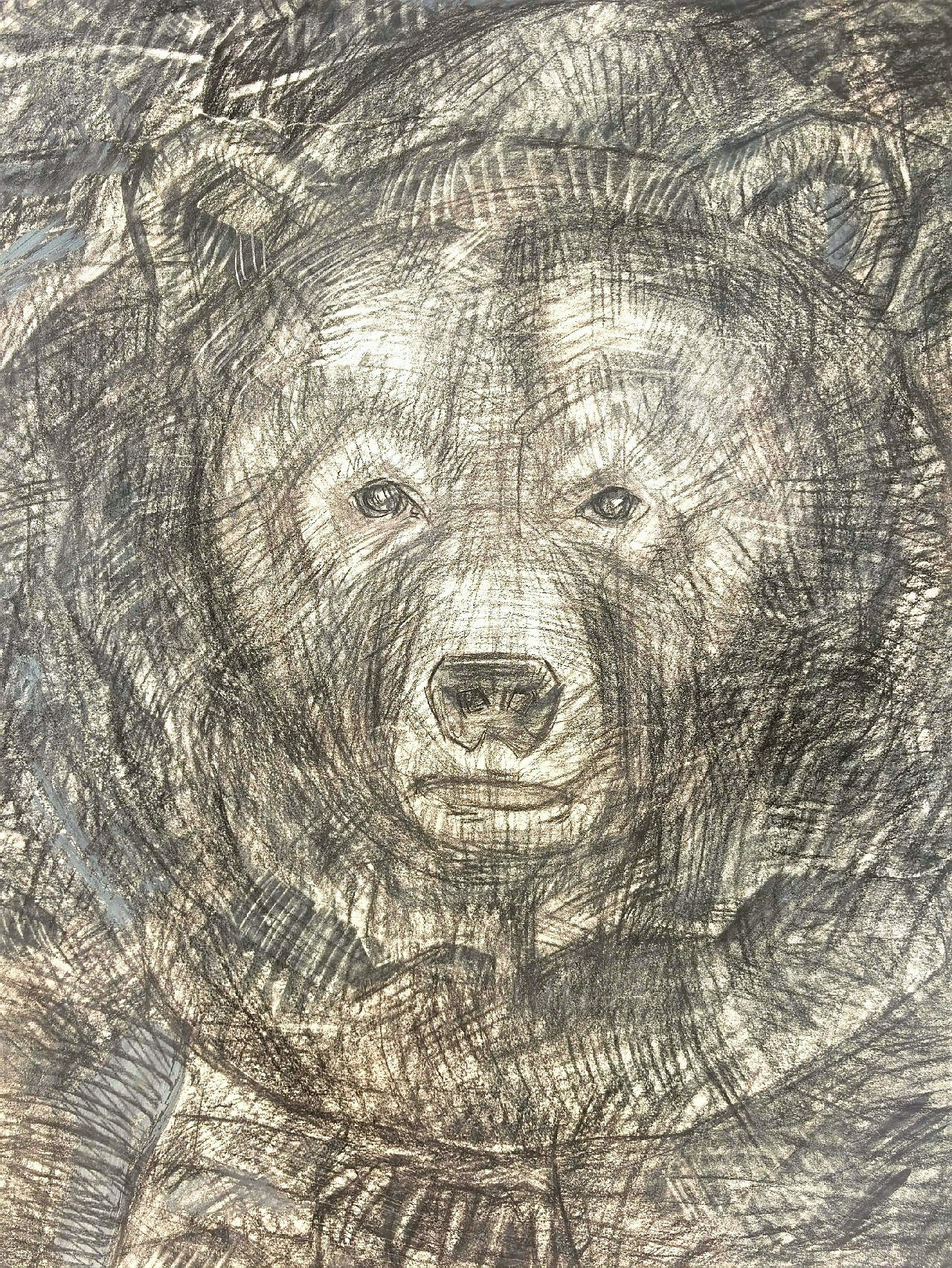 Медведь. Художник и гид по Камчатке Евгений Чайкин