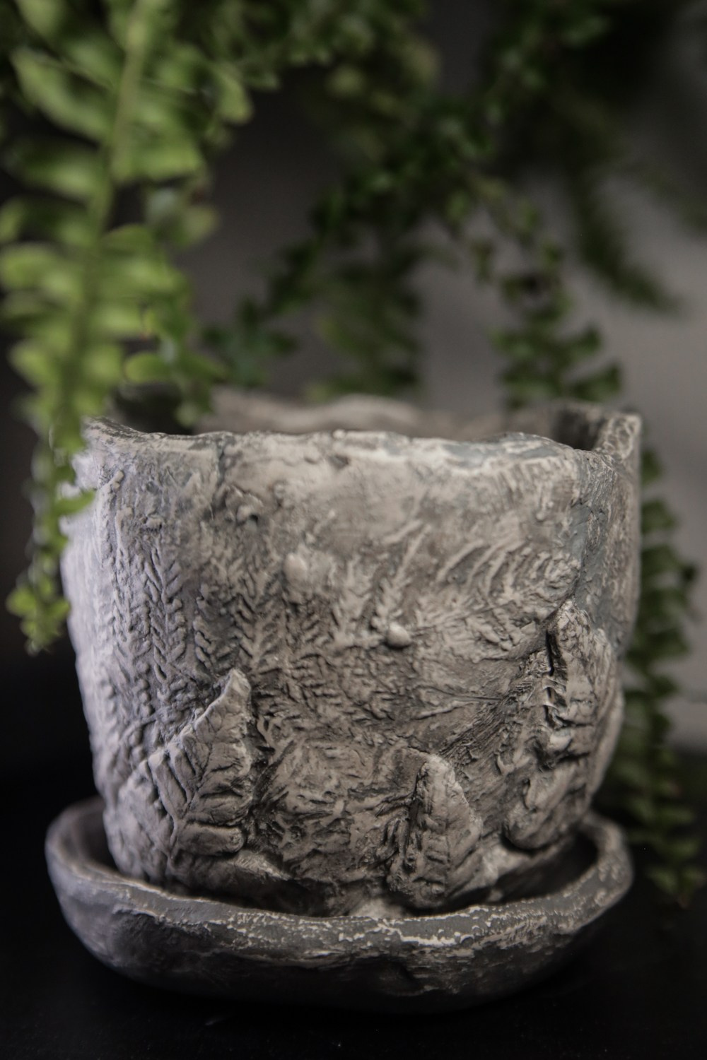 «Папоротники» Малый 1500 р. Катя Цвет