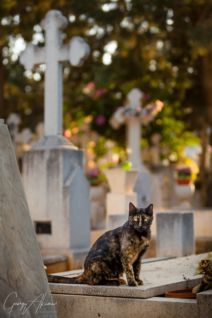 ЯХТЫ / МОРЕ / ПУТЕШЕСТВИЯ. Сложная съёмка для бизнеса b2b / Яхтенный фотограф / Корпоративные календари / Промышленная съёмка / Спортивный репортаж