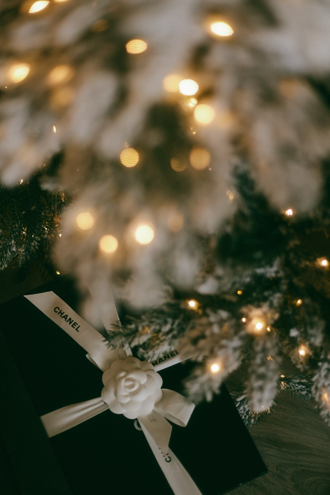 Денис и Оля. Фотограф Нижний Новгород