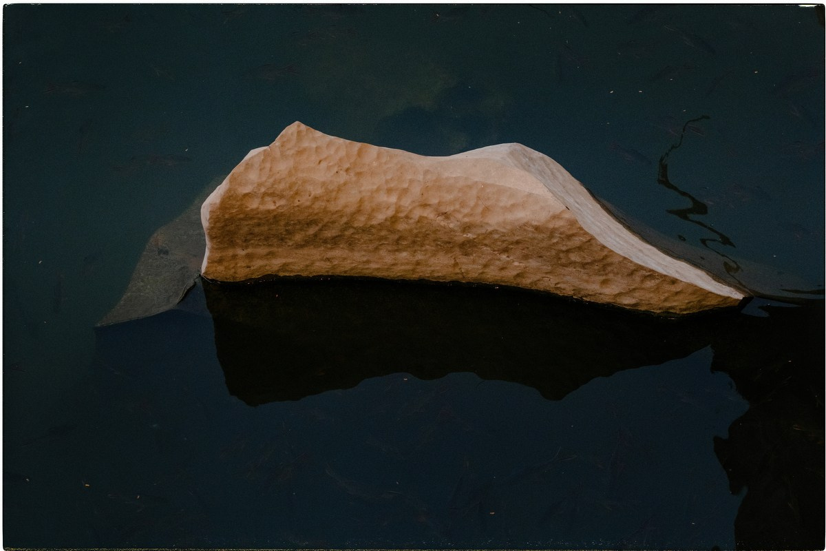 Таиланд. Портретный и репортажный фотограф в Санкт-Петербурге Дарья Сибирякова