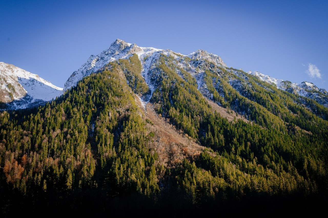 Отзывы. Сайт фотографа Данилы Пащенко