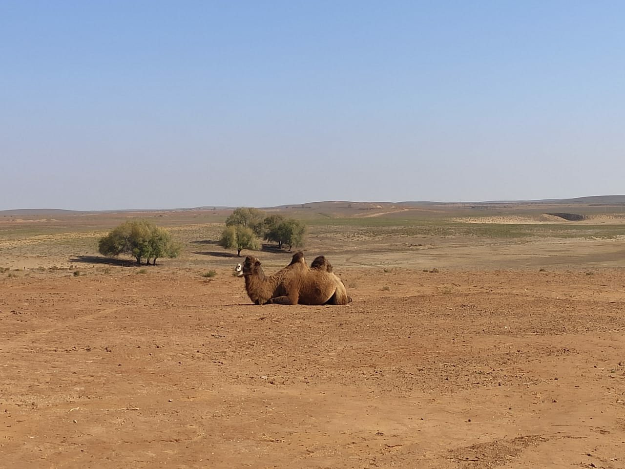 Астрахань | 17-18.10.2020. Галерея Фантим
