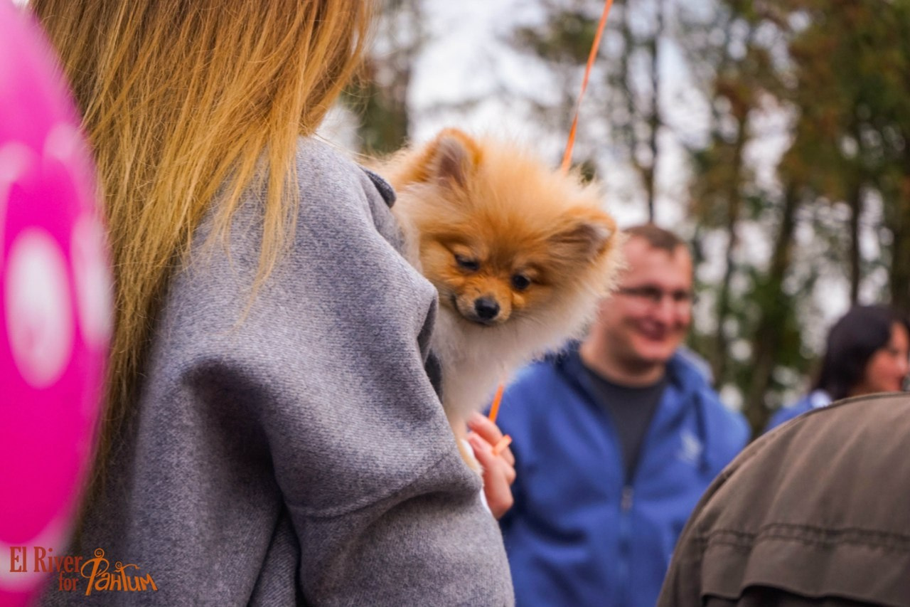 День рождения Фантима. 7 лет! | 21-22.05.2016. Галерея Фантим