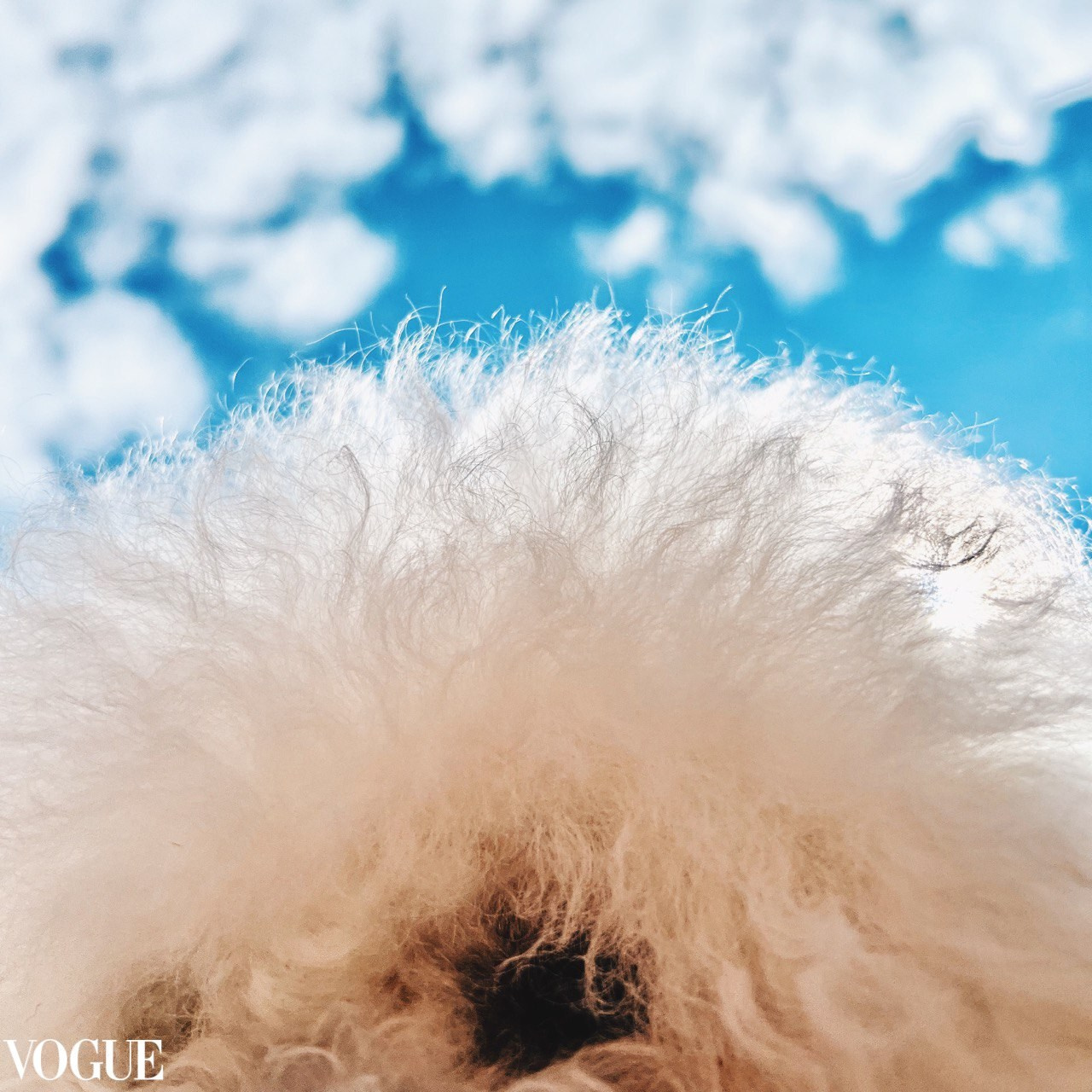 2023. Марфин. Фотограф