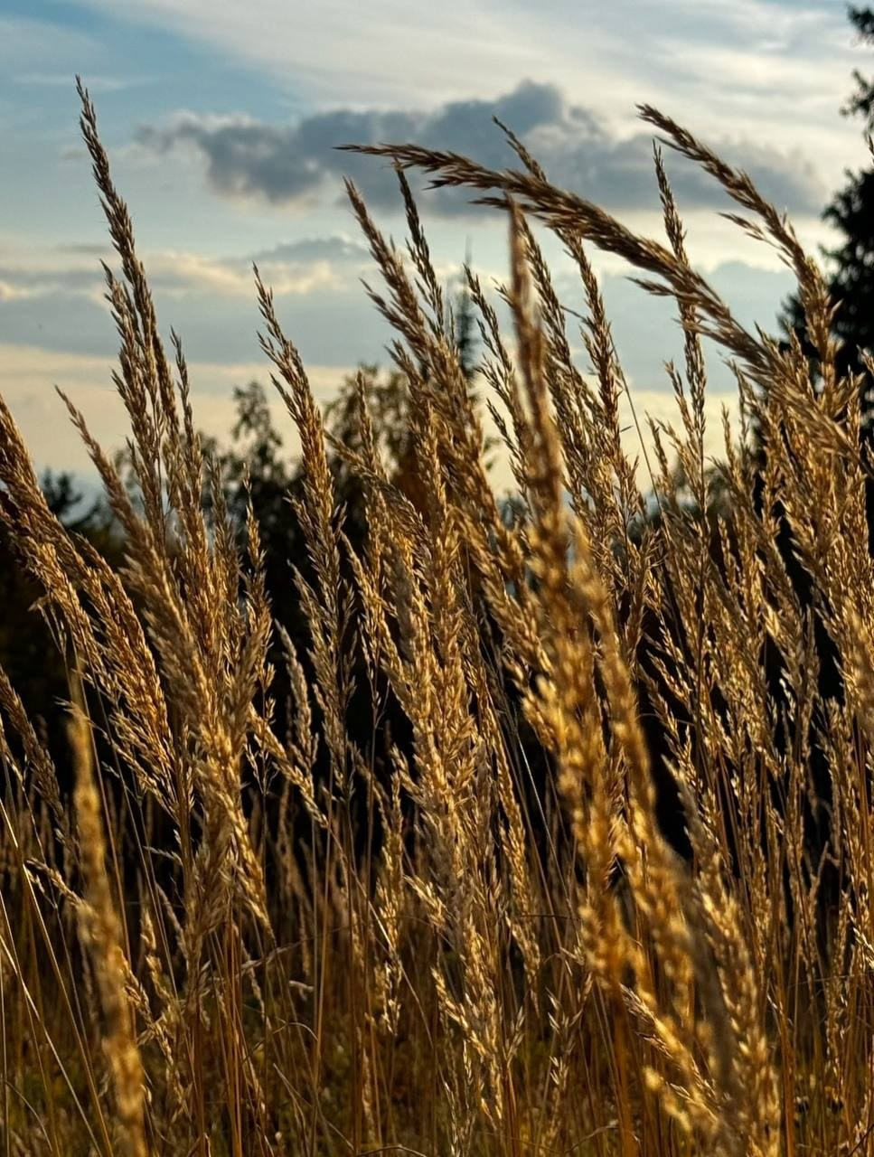 Взгляд сквозь объектив. Портретный фотограф город Уфа