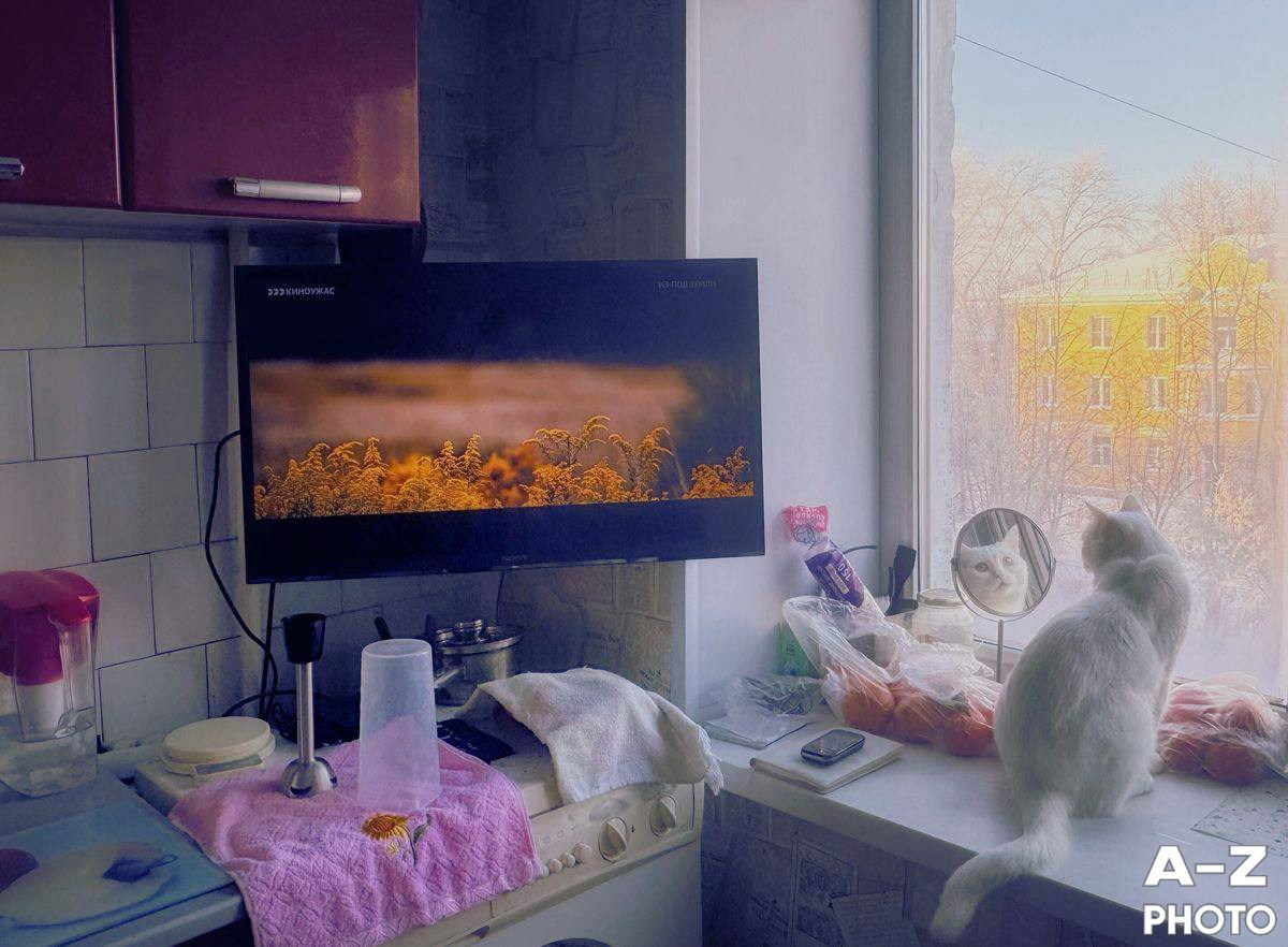 #ФОТОНЕДЕЛИ 19.01.2026. Женский семейный фотограф Тула Москва Захарова Анна