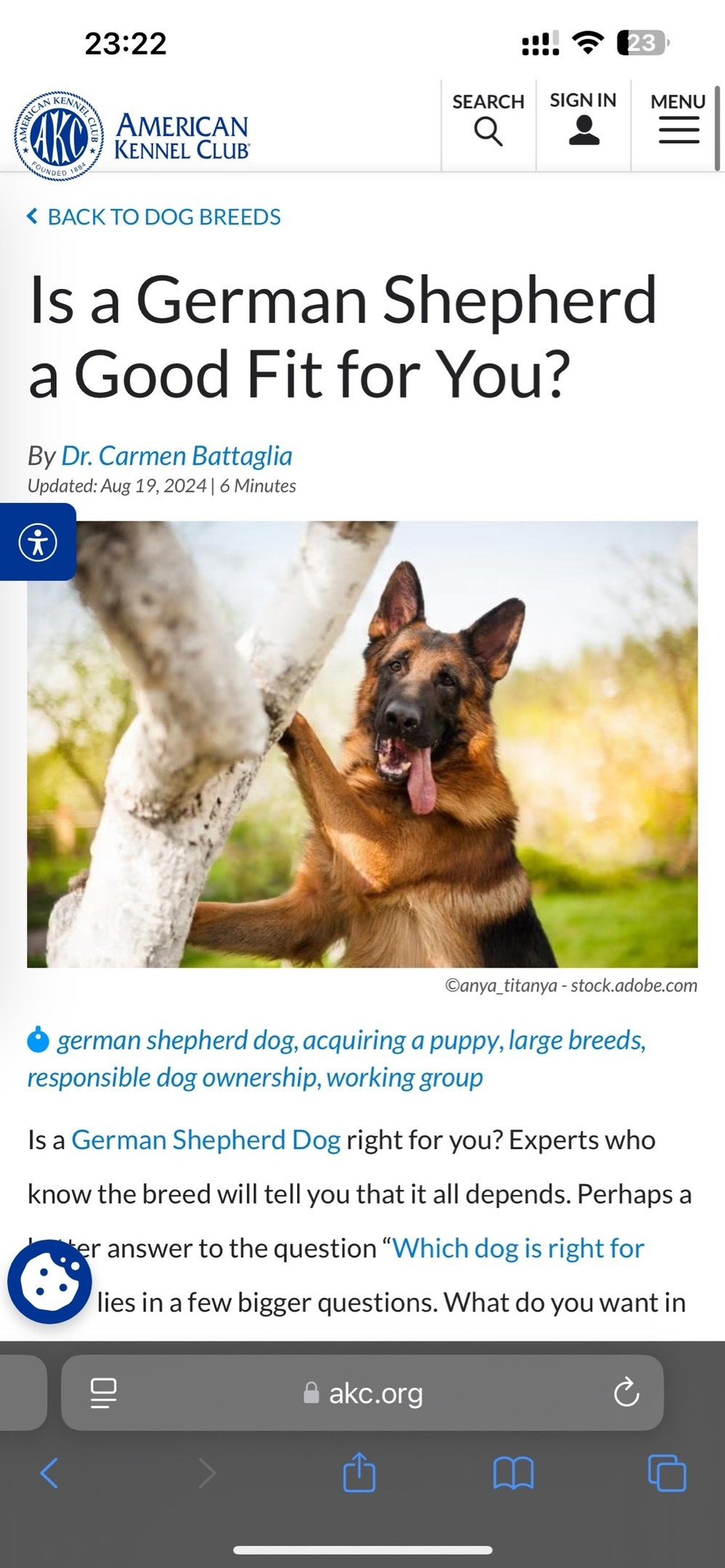 О фотографе TitAnya. Фотограф собак, фотограф-анималист Аня Титова (Titanya). Москва