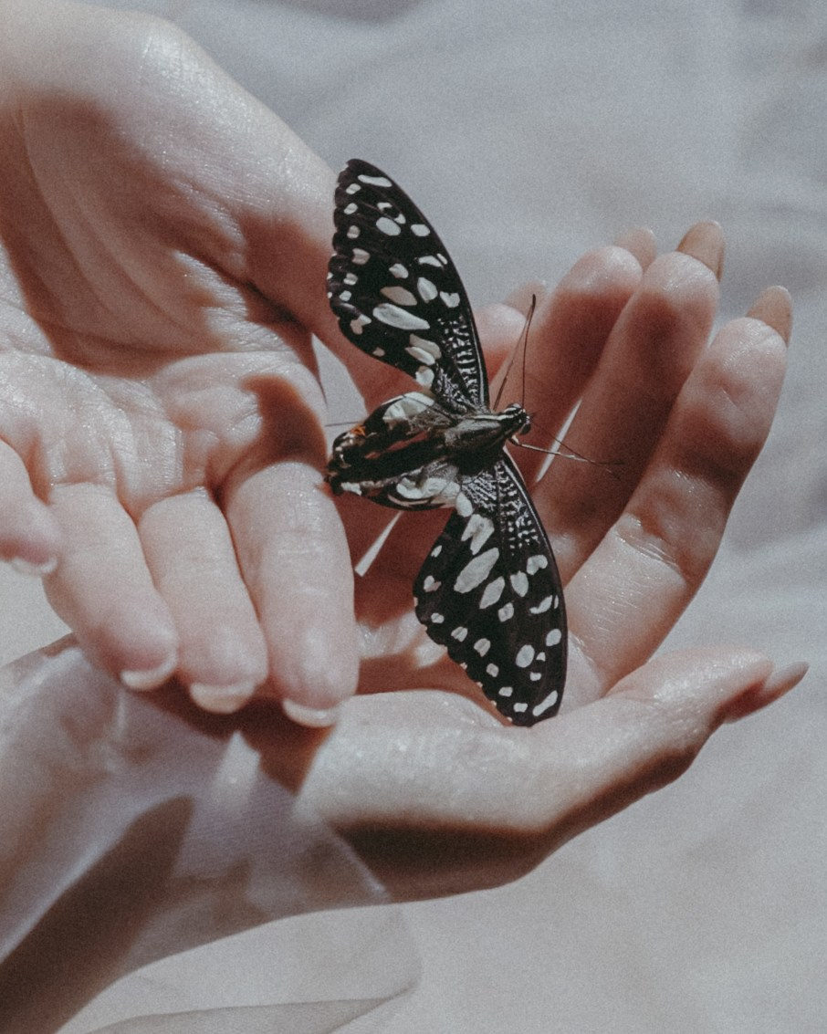 Эльфа. Портретный и семейный фотограф Владивосток Андрей Липатов