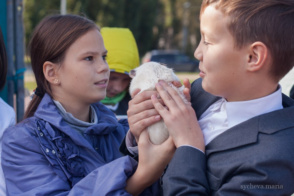 Ярмарка талантов. Детский и семейный фотограф, фотограф мероприятий Нижний Новгород