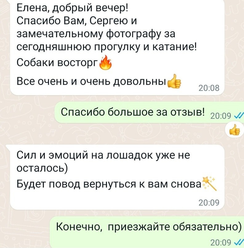 Катание на хаски в Спб