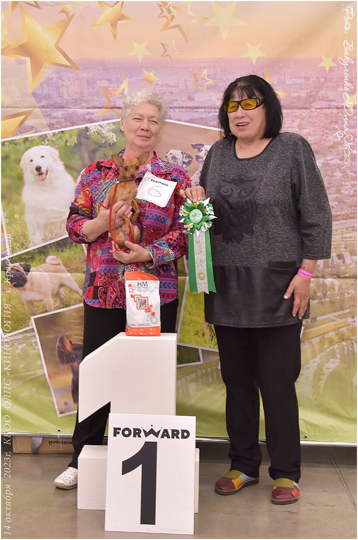 Репортаж. Фотограф анималист | семейный Юлия Вакуленко, г. Краснодар