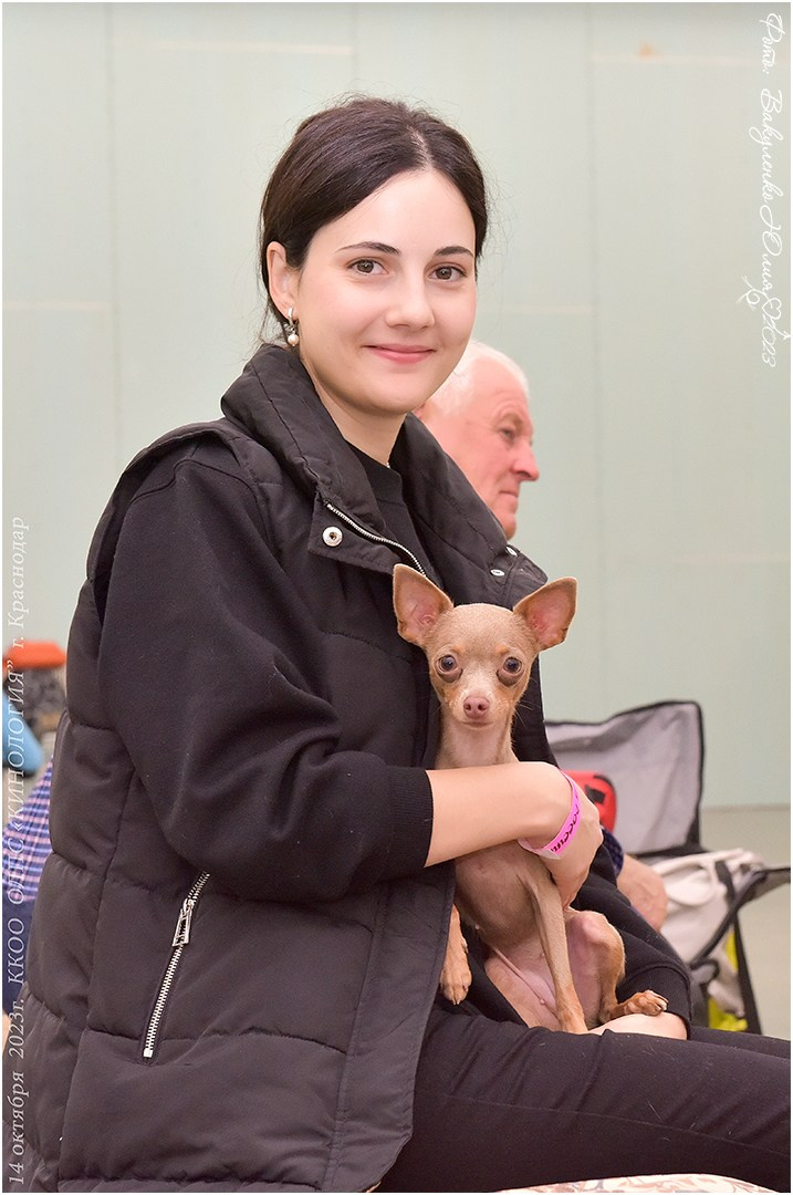 Репортаж. Фотограф анималист | семейный Юлия Вакуленко, г. Краснодар