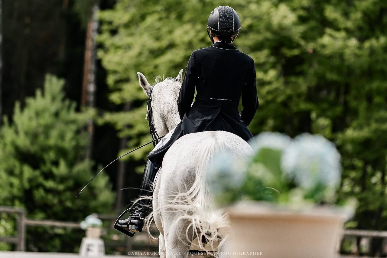 Третий этап КУБКА КСК «АЛМАЗОВО» по ВЫЕЗДКЕ. Конный фотограф Куракина Дарья • Фотосессии с лошадьми