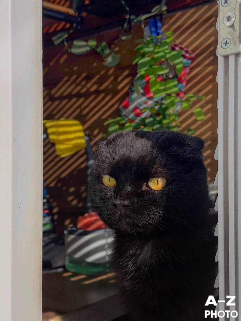 #ФОТОНЕДЕЛИ 20.04.2026. Женский семейный фотограф Тула Москва Захарова Анна