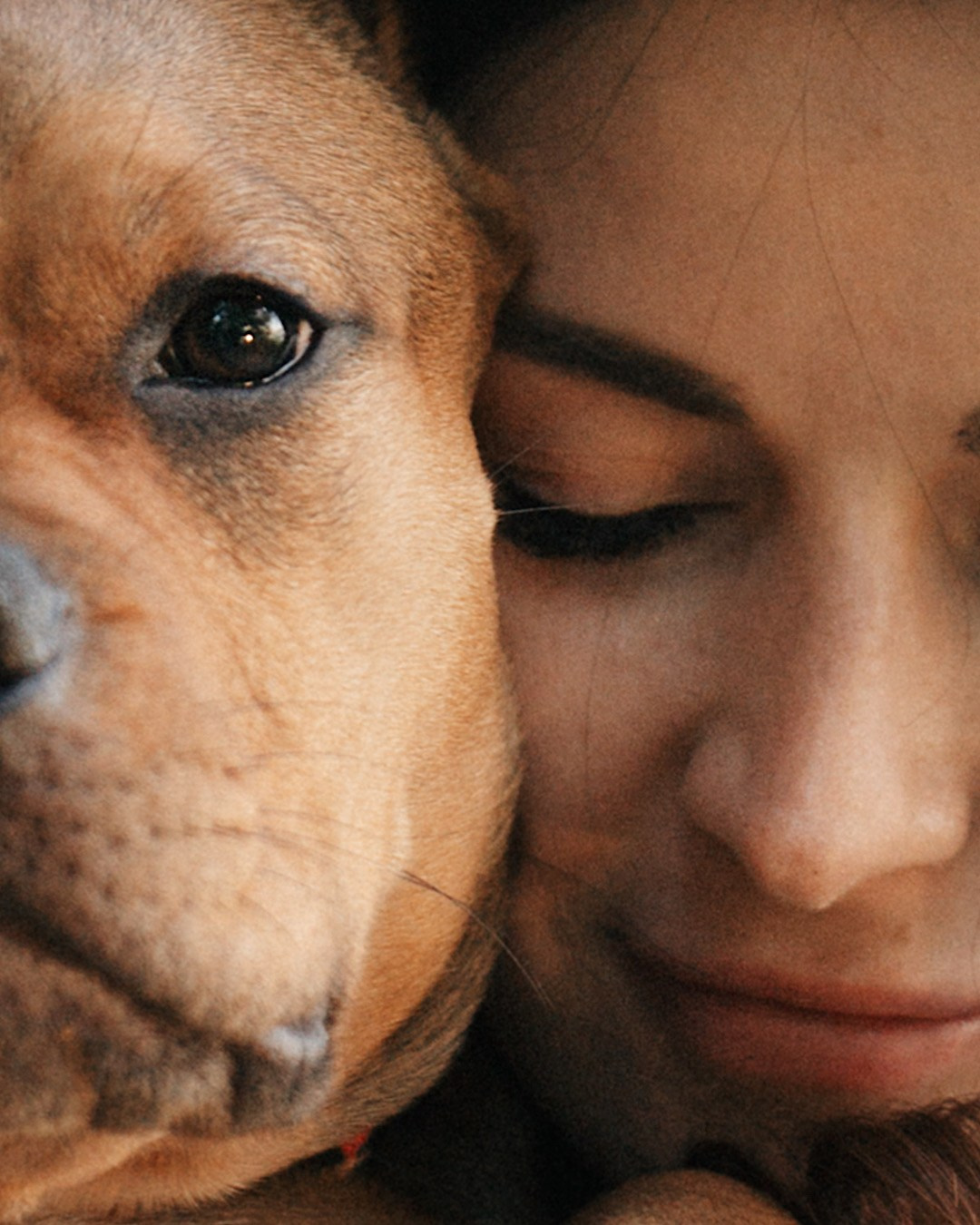 Кристина и Эфи. Фотограф анималист в Москве и Санкт-Петербурге Свиридова Анна