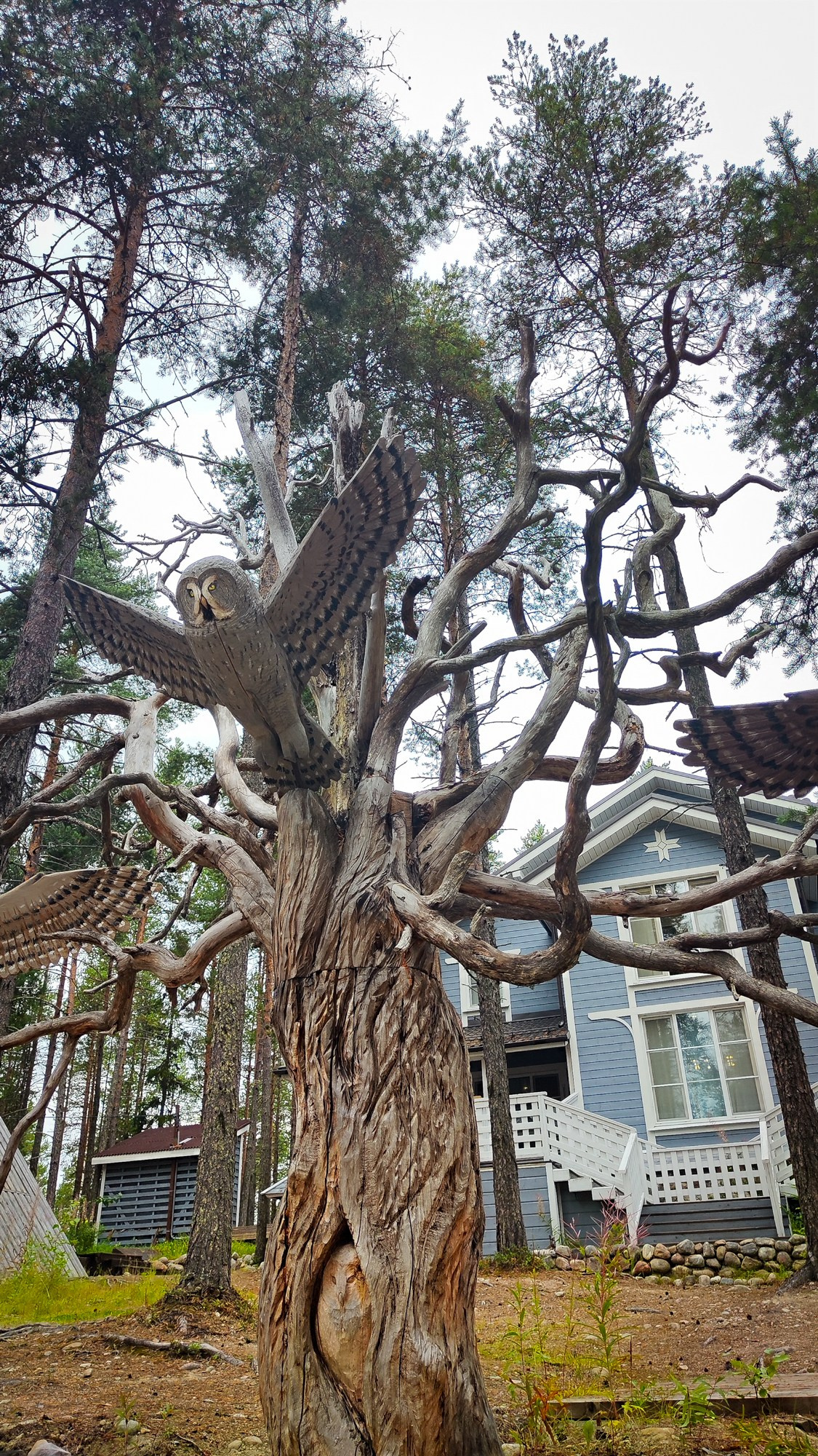 Репортаж с ретрита. Фотограф Ксения Соло