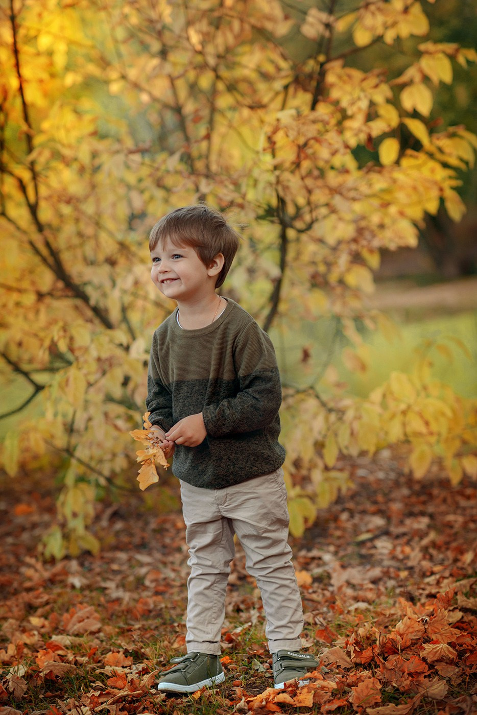 Family photo shoot , walk in the autumn park, family and golden fall (Photographer in Edinburgh Elena Carruthers)