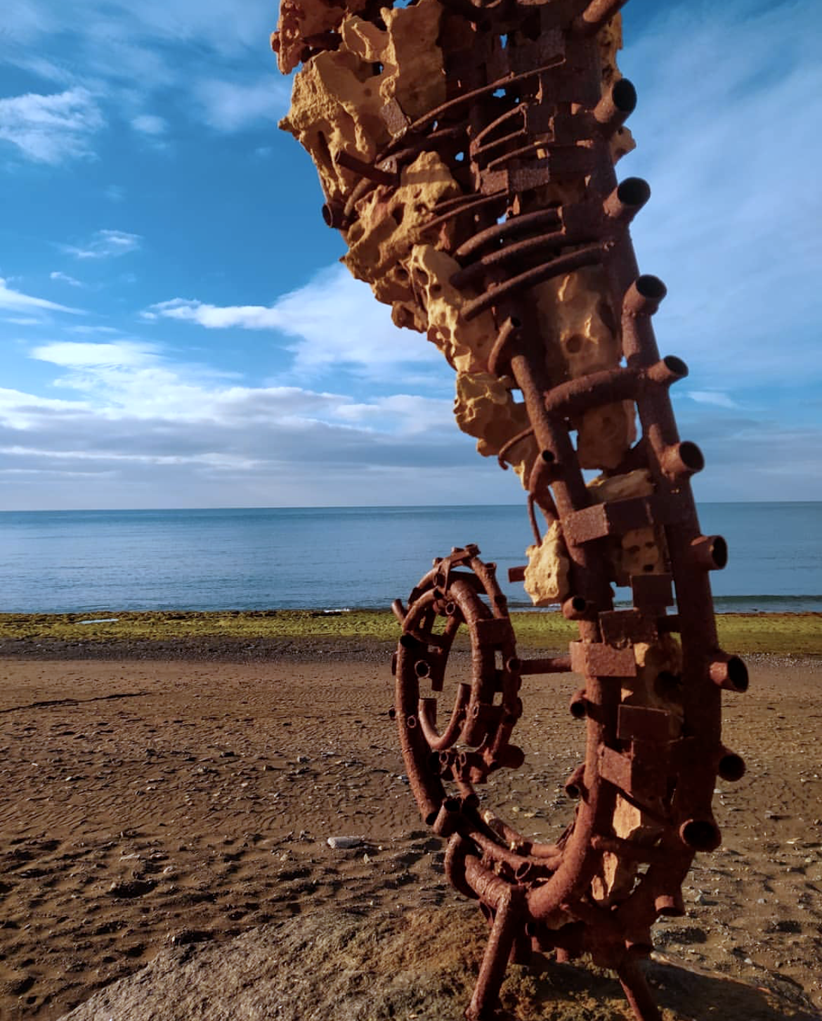 Морской конёк/Испания/Канарские о-ва/ Фуэртевентура/2017. Художник — скульптор Антонина Фатхуллина