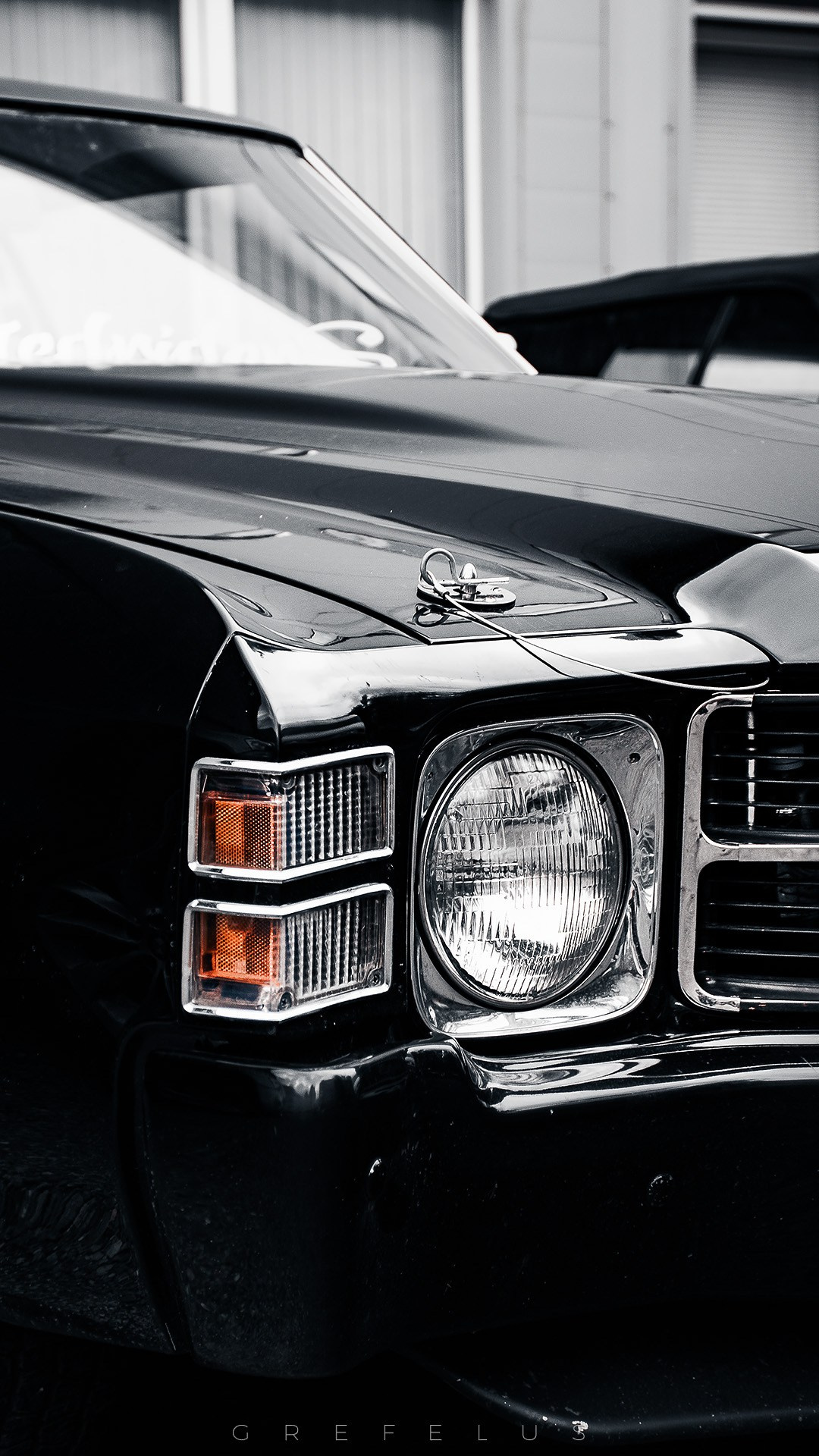 Random Frames — 2021. Grefelus