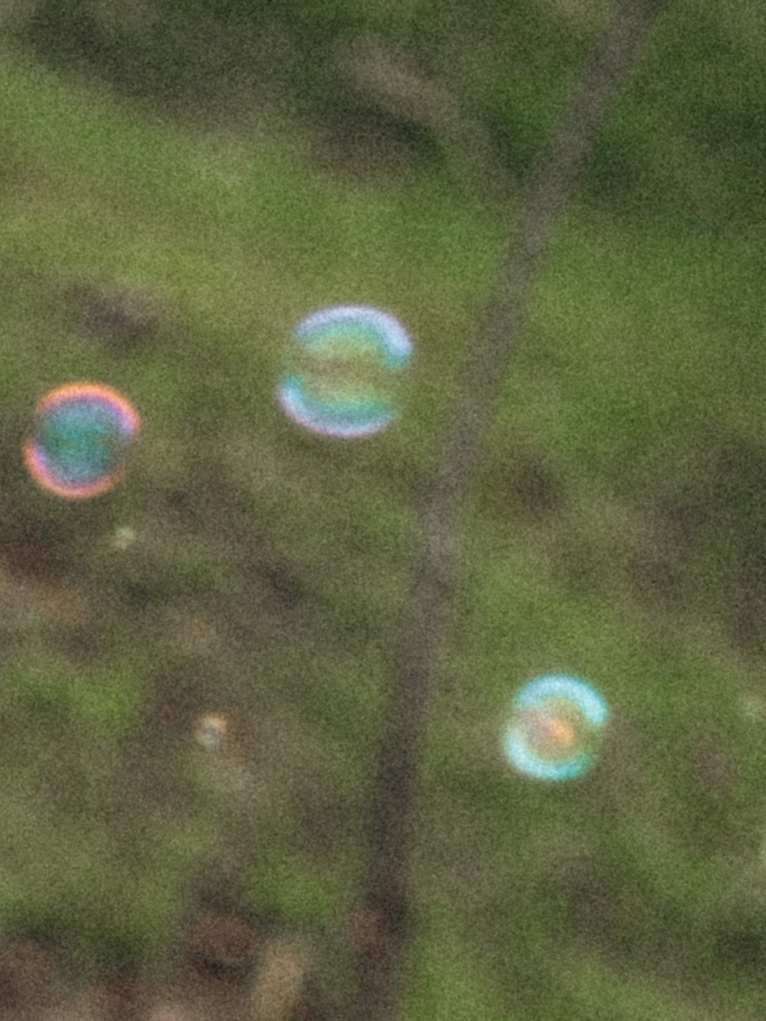 Oksana&Eugeny. Фотограф города Уральск Ольга Василец