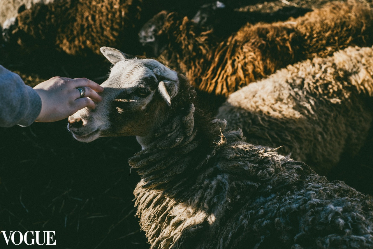 Сергей Батый коммерческий фотограф в городе Ярославль и Москве