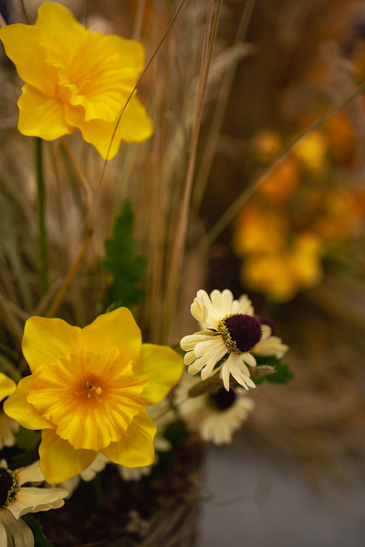 Осеннее чаепитие в ТЦ Хорошо!. Репортажный и концертный фотограф в Москве Анастасия Осень