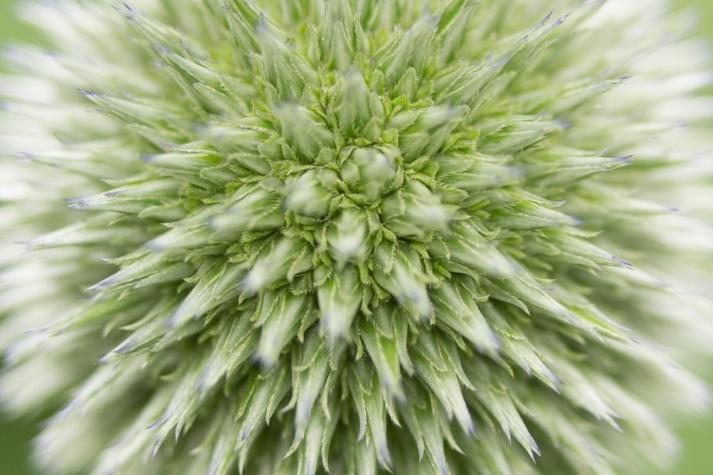 Макро. ZAGLADIN Bureau