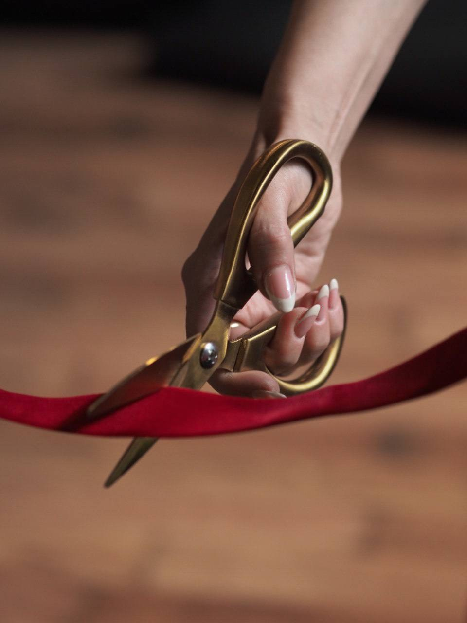 Презентация бренда Castro Lighting. Креативный продюсер Екатерина Швец