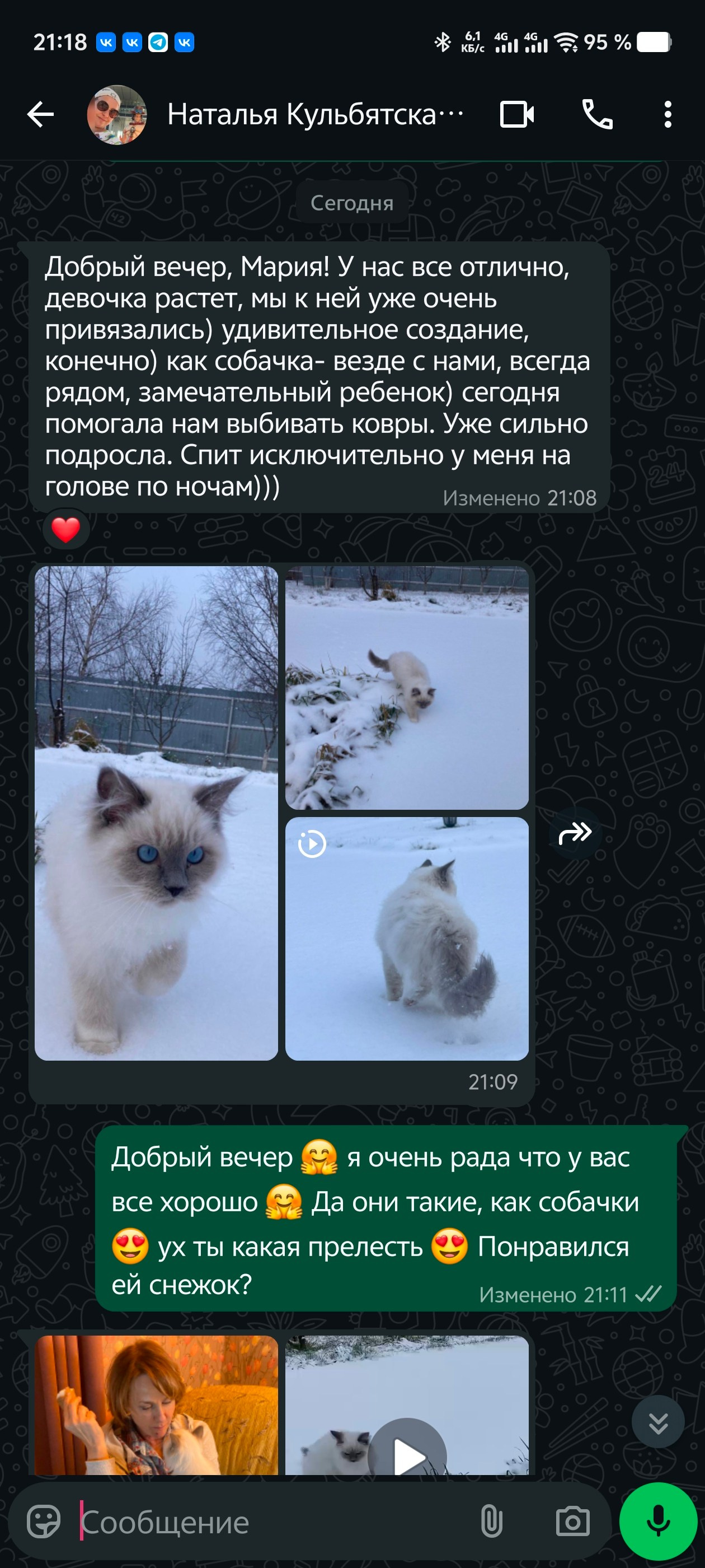 Выпускники Loyal Adore. Питомник рэгдолл Loyal Adore