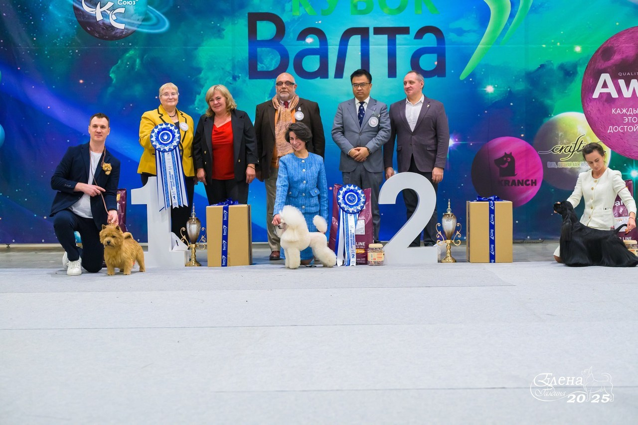 Отзывы. Фотограф анималист Елена Галдина г. Красноярск