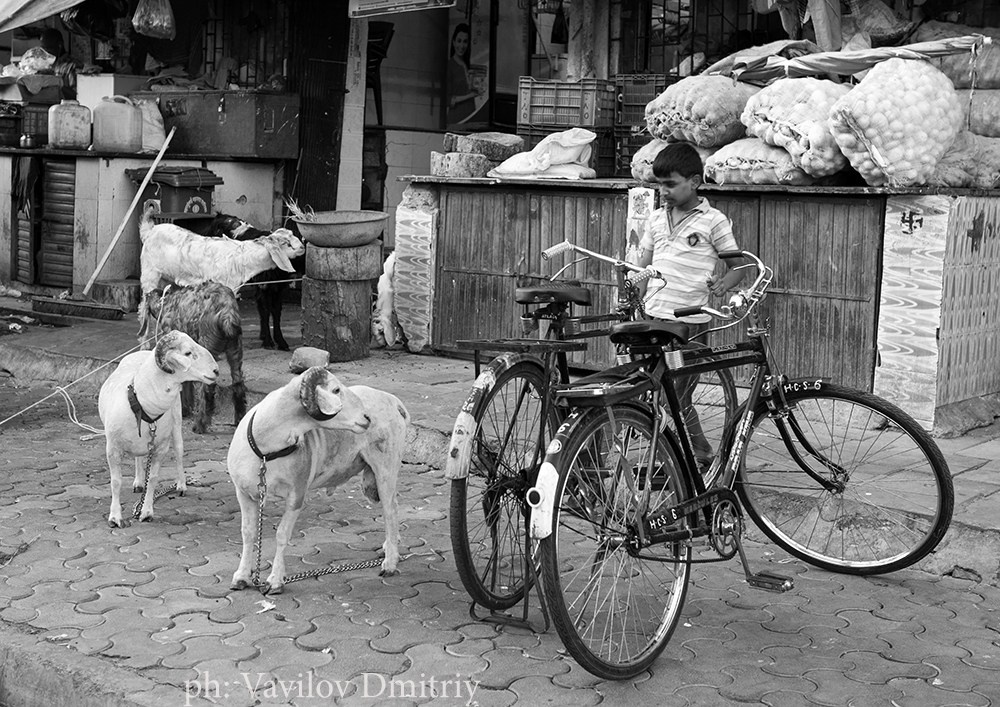 ТРЭВЭЛ. Творческие фотосессии в Москве