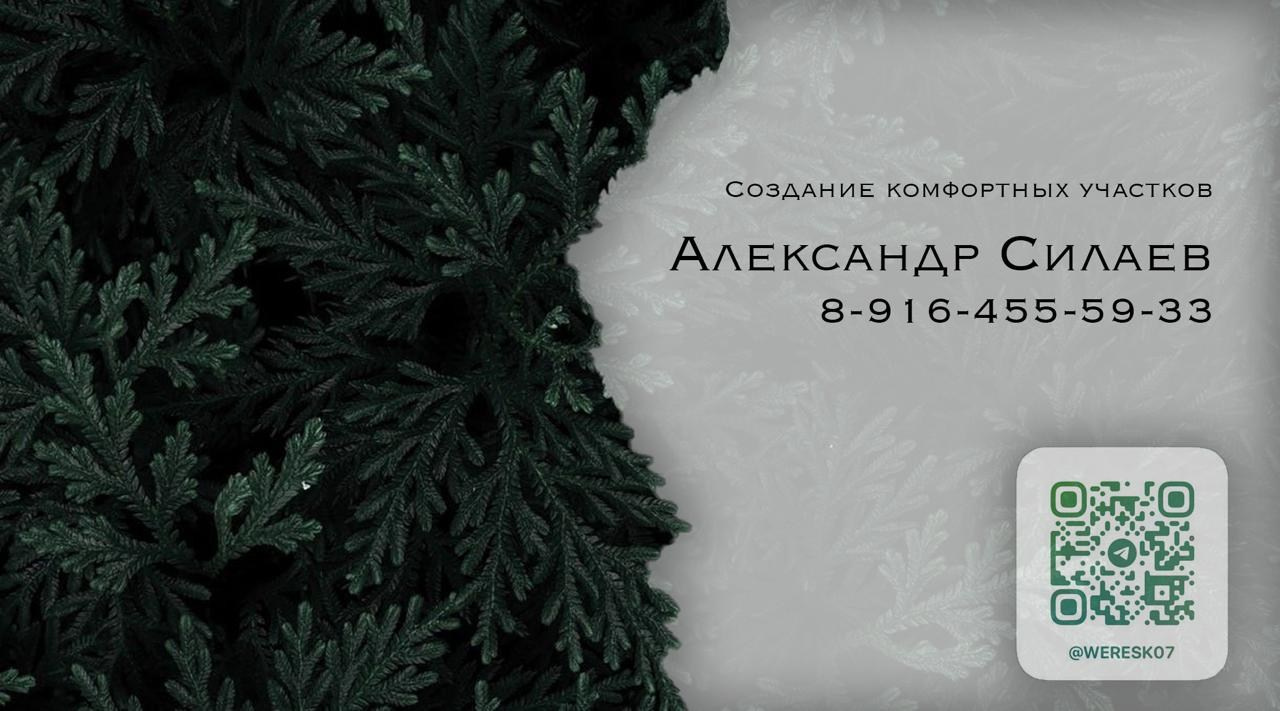 Графический дизайн. Алина Силаева. Фотограф. Контент-менеджер