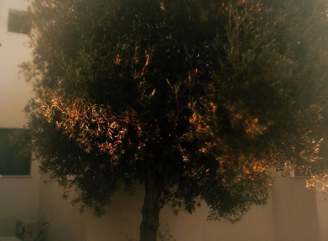 Видение. Костюмер, художник кино и телевидения в спб