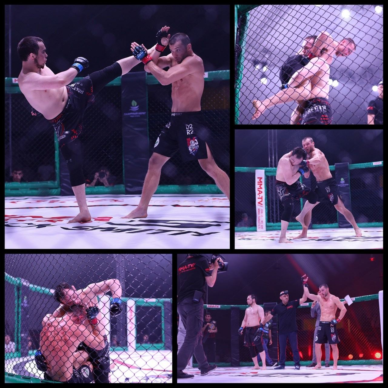 BlackSmith Fight Championship. Репортажный фотограф Анапа