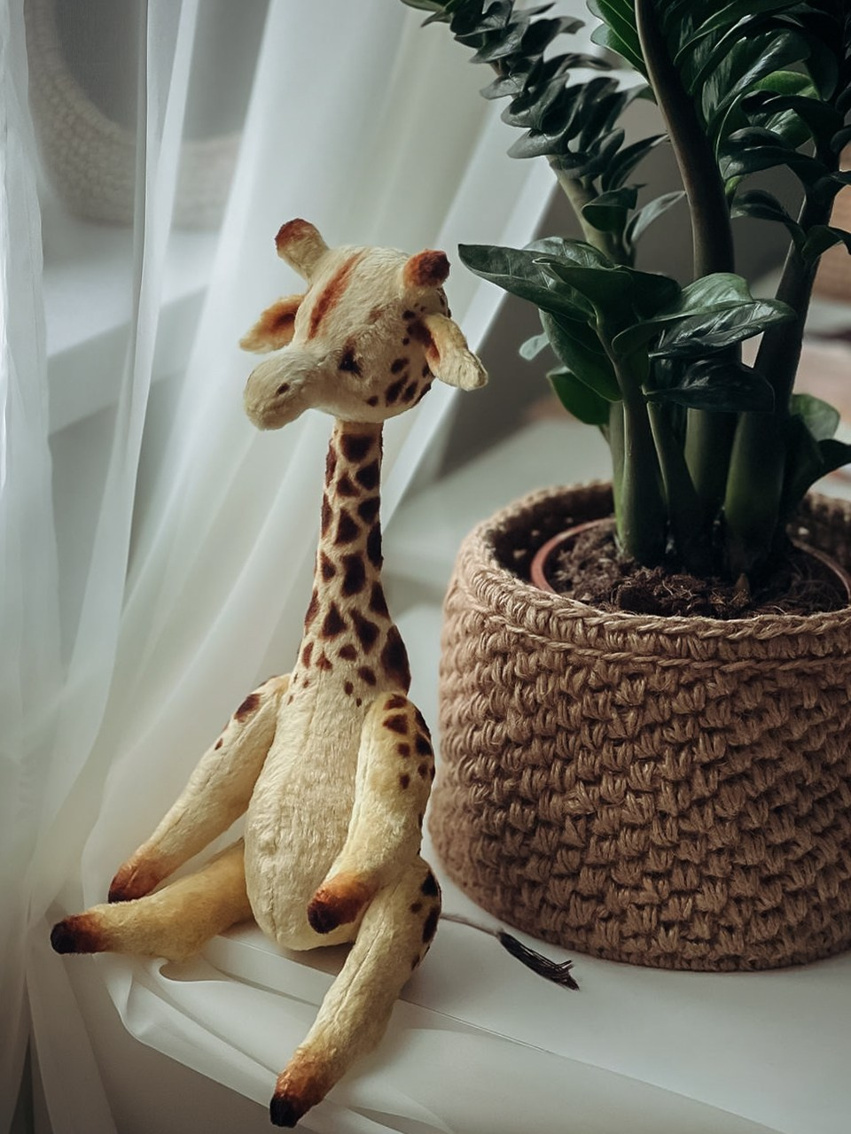 Тедди. Фотограф Ольга Сальманович