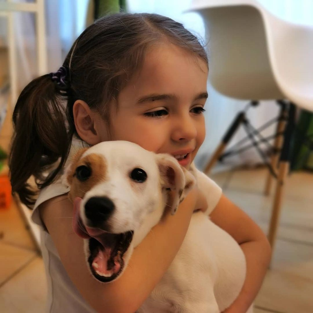 Anka`s Instagram. Заставка