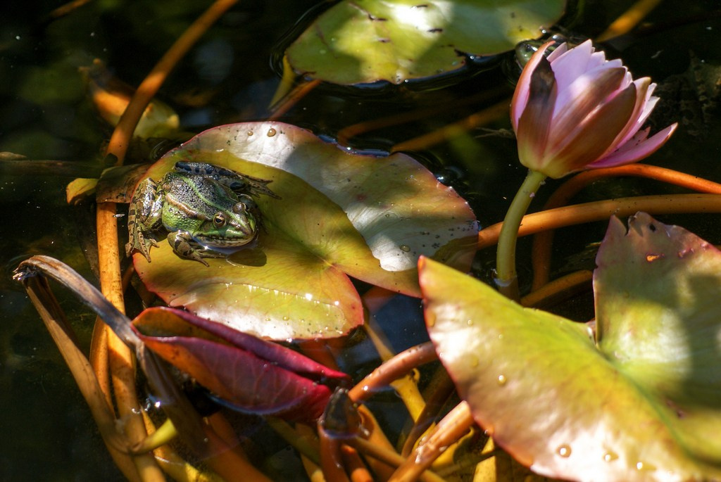 Welcome. Фото Стремского
