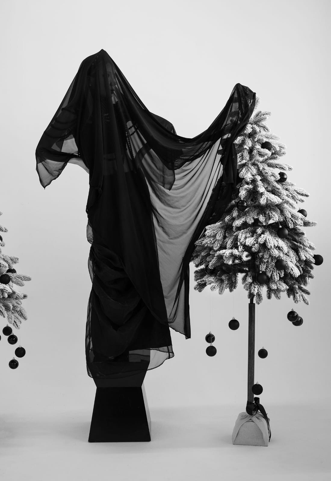 Book. Главная