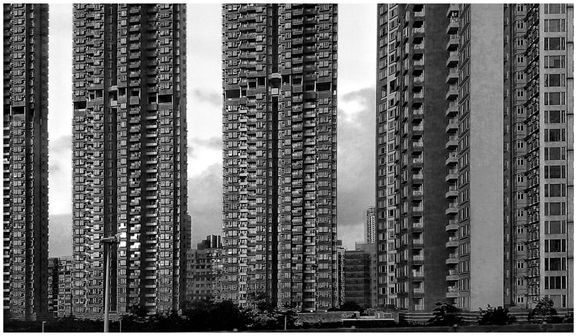 2017. Тащилин Сергей. Фотографии. Жизнь. Хобби