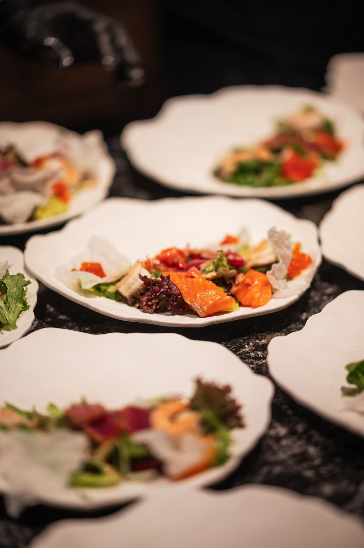 Siamese Asset — Krasnoyarsk 5.03.2025. Фотогалерея Kalinka Thailand