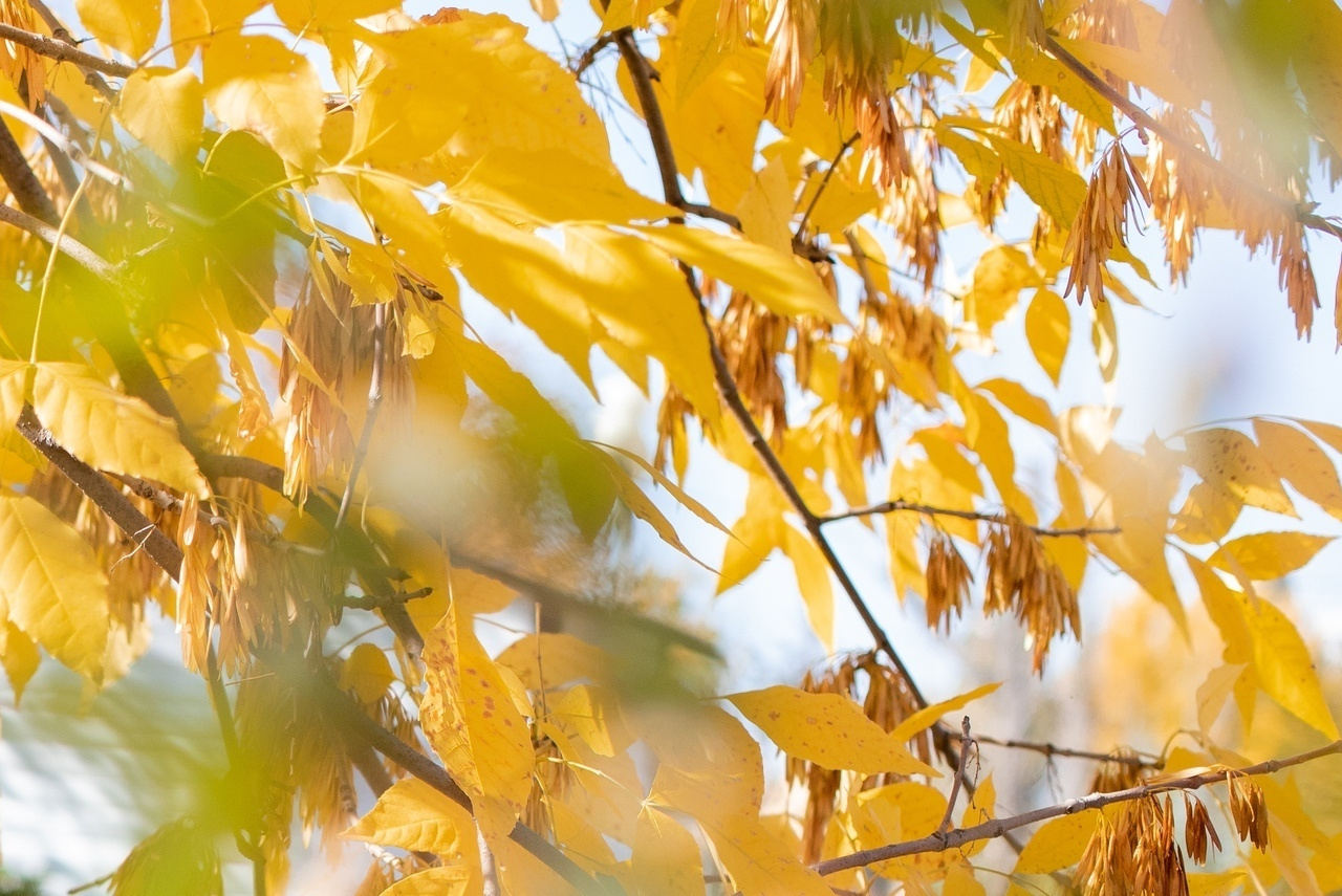 Love Story в Белгороде. Фотограф Белгород
