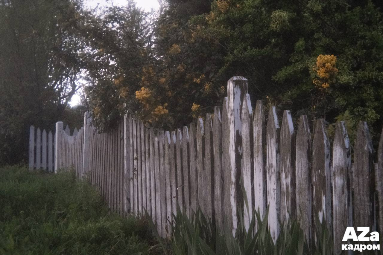 AZакадром «Что для меня дом». Женский семейный фотограф Тула Москва Захарова Анна