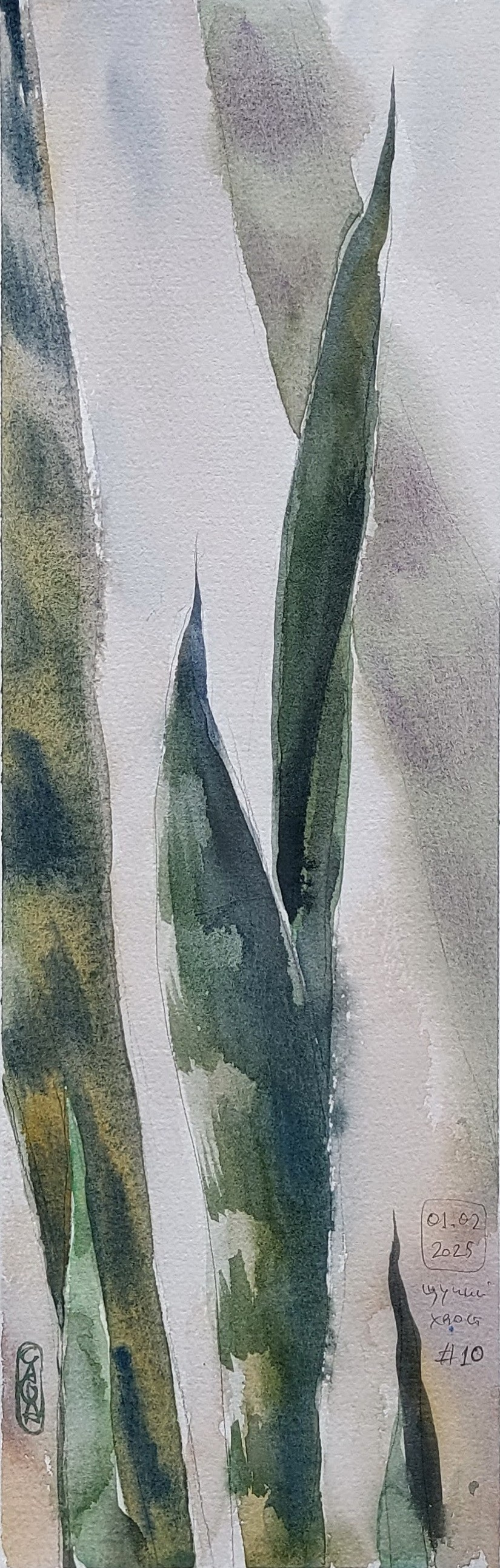 Flowers. Alexander Manaenkov | Watercolor Artist from Siberia