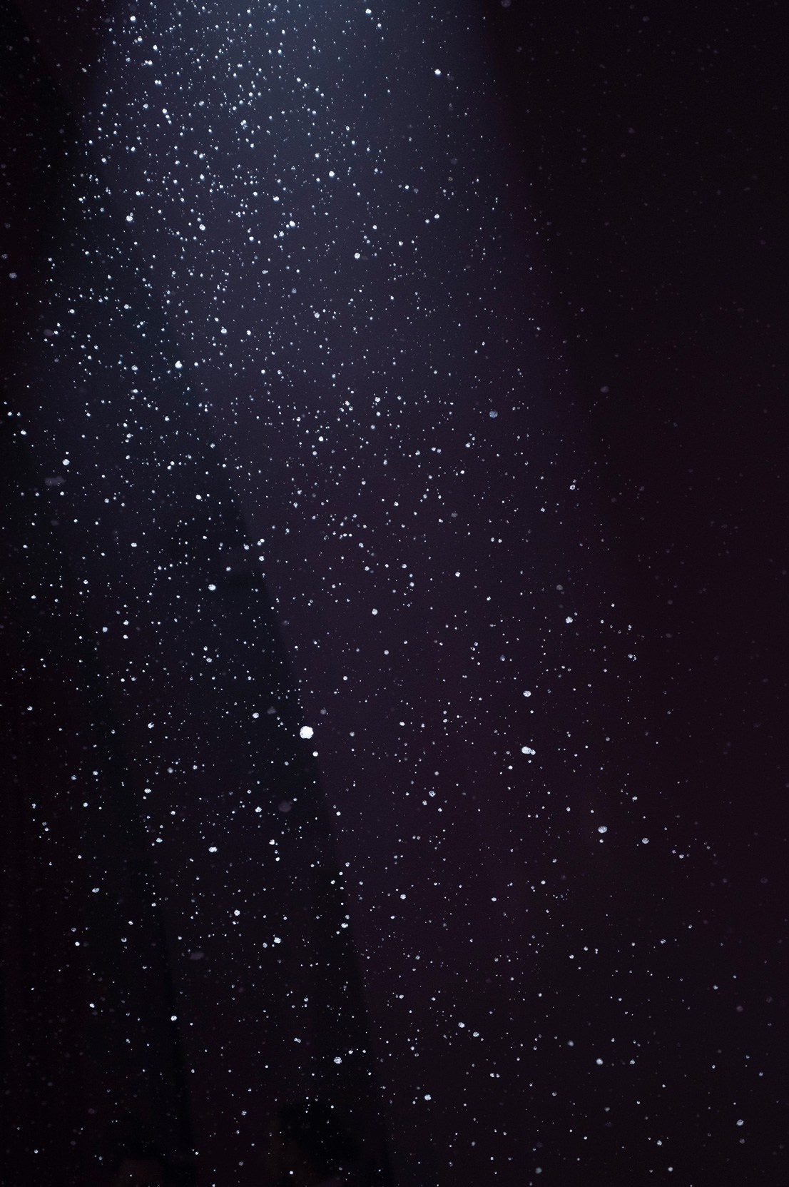 Clair Новогодний корпоратив. Фотограф Антон Горин